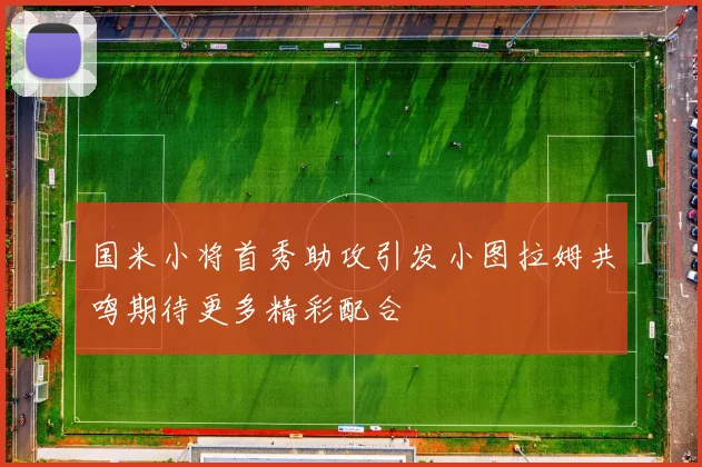 国米小将首秀助攻引发小图拉姆共鸣期待更多精彩配合